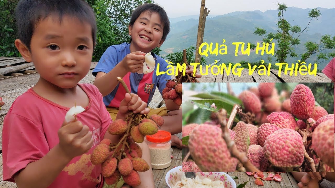 Quả tu hú rừng