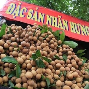 đặc sản nhãn lồng hưng yên