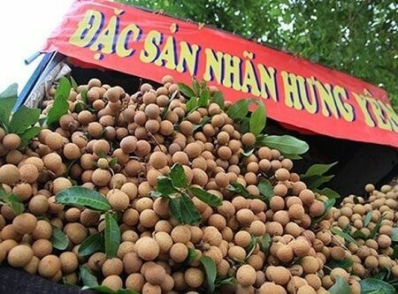 đặc sản nhãn lồng hưng yên